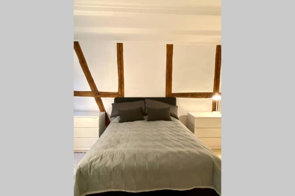 Apartamento Luxury 'Kings Garden' City-Flat In Center Of Town Copenhague Exterior foto